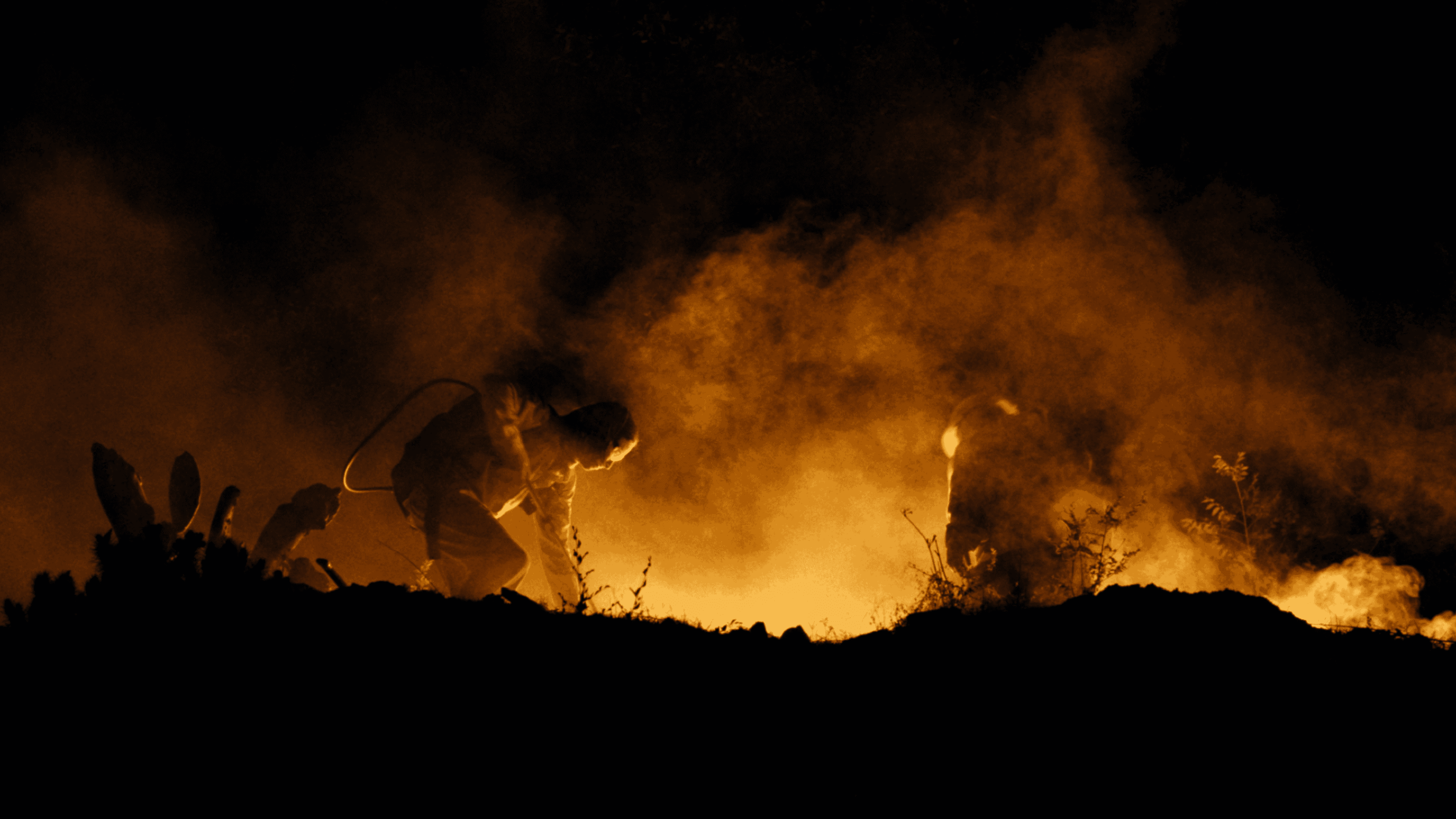 When Everything Burns