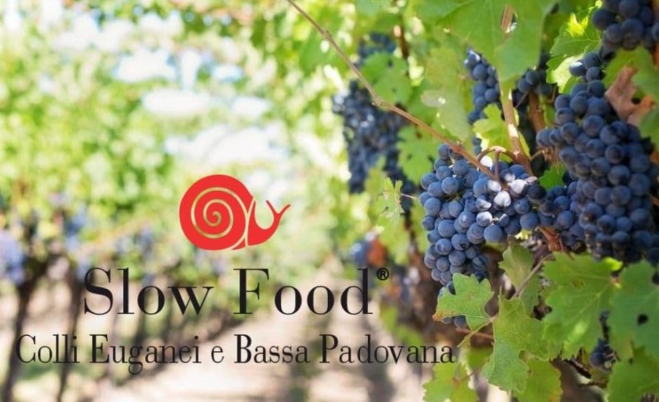 Slow Food: Degustando i Colli e la Bassa a Due Carrare