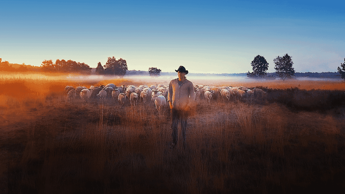 Introduzione del film "Sheep Hero" a cura di Legambiente e del Caseificio Morandi