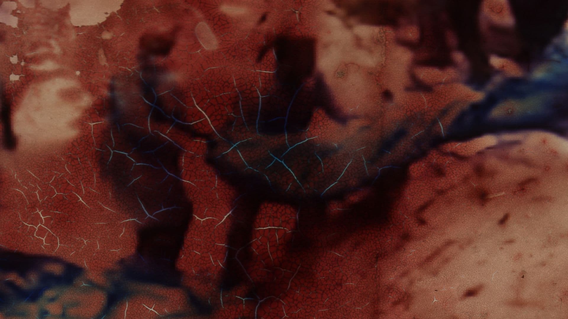 All that appears solid is build on blood 