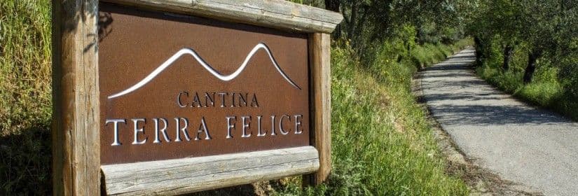 Cantina Terra Felice